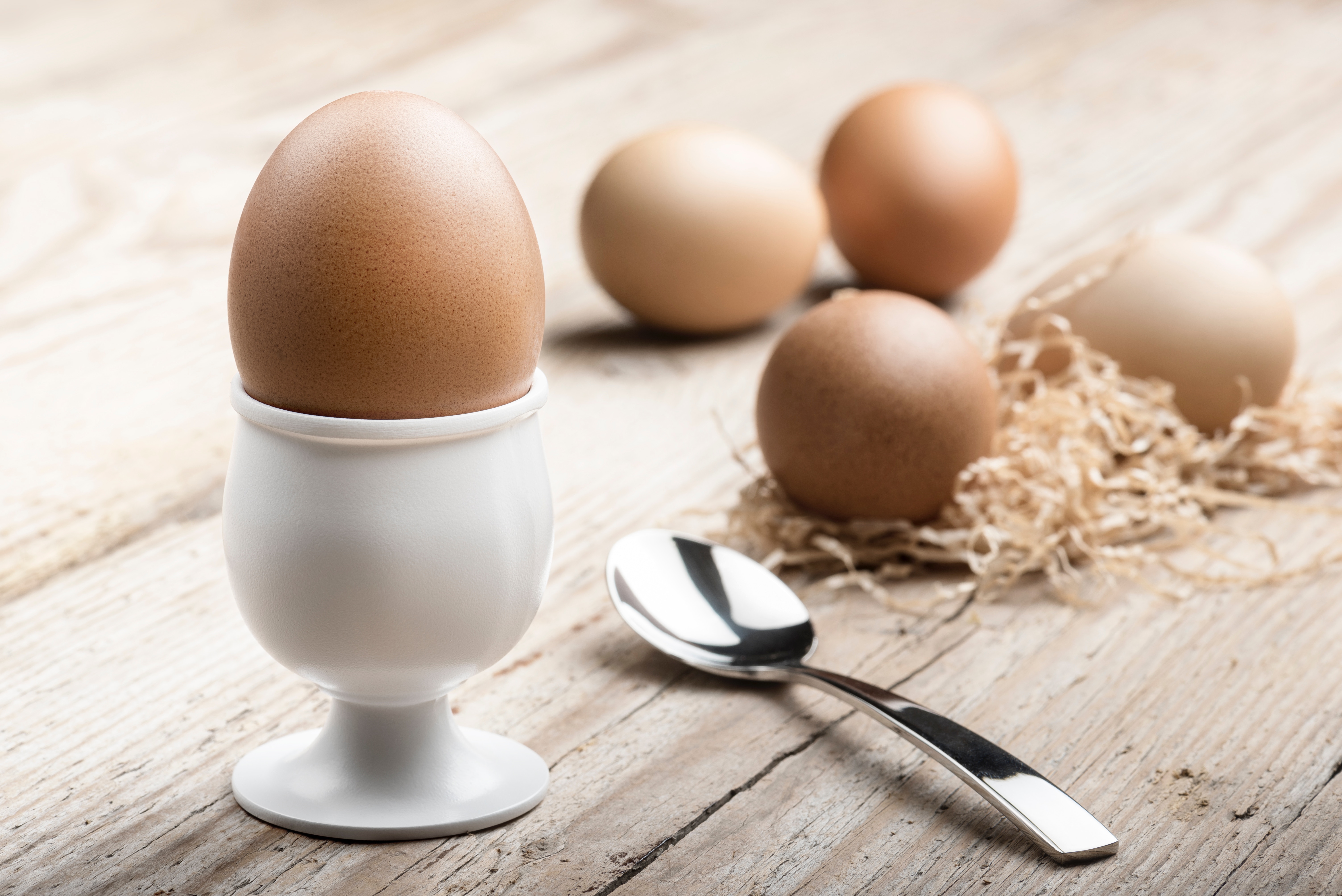 Egg | Cholesterol | 21 Day Full Body Cleanse