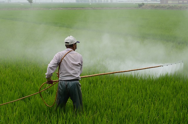 going organic : is pesticide safe